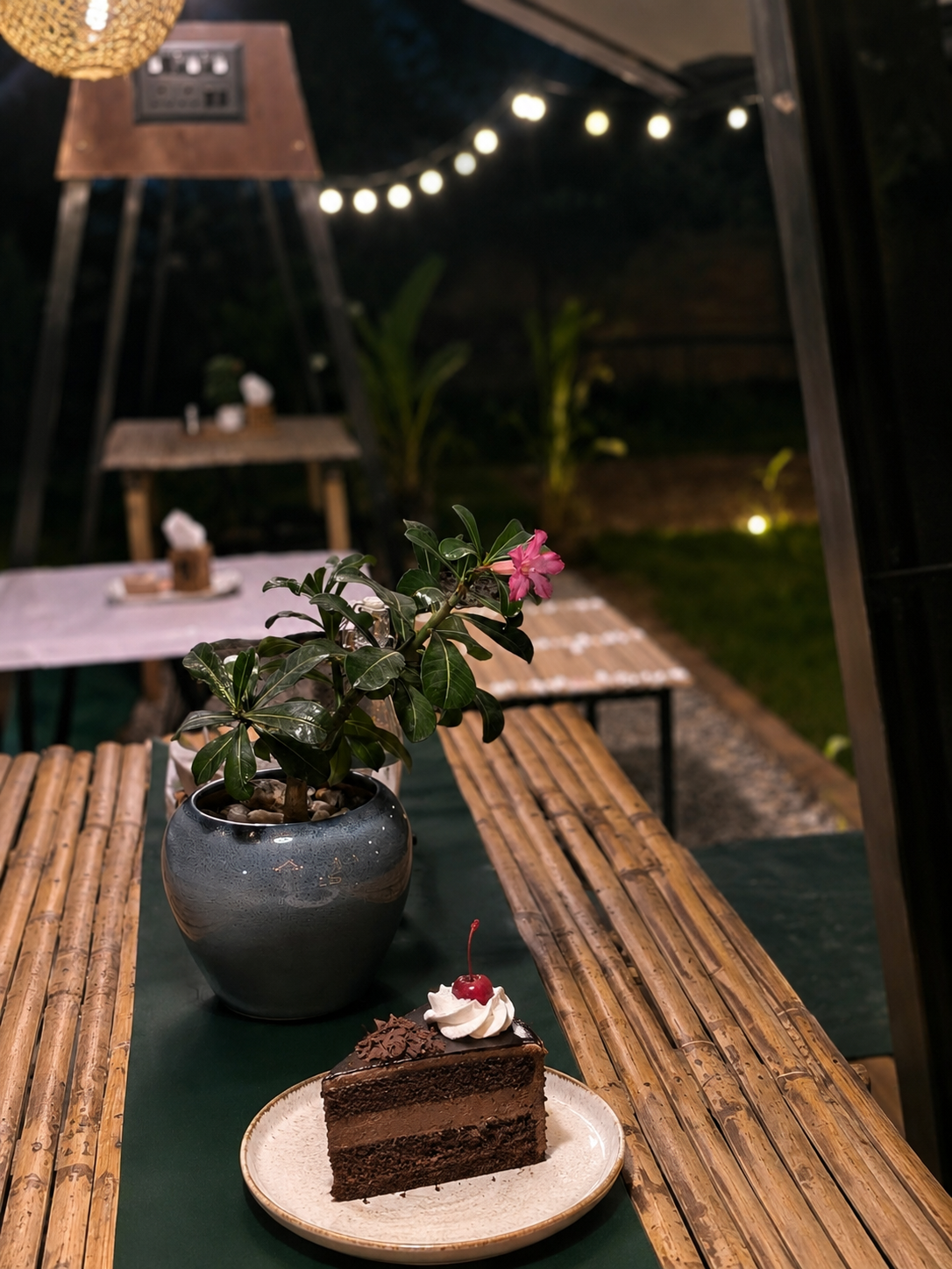 Canopy Evenings